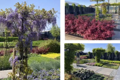 Adriana van Roonlaan 55 te ‘s-Gravenhage