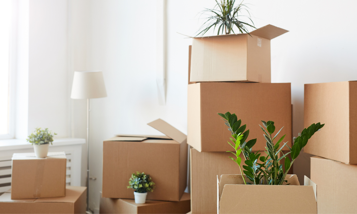 Wanneer past je woning niet meer bij je levensfase? Doorstromen, aanpassen of verhuizen