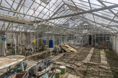 Tomatenlaan 18 A te ‘s-Gravenhage