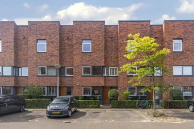 Juttepeer 42, Den hoorn