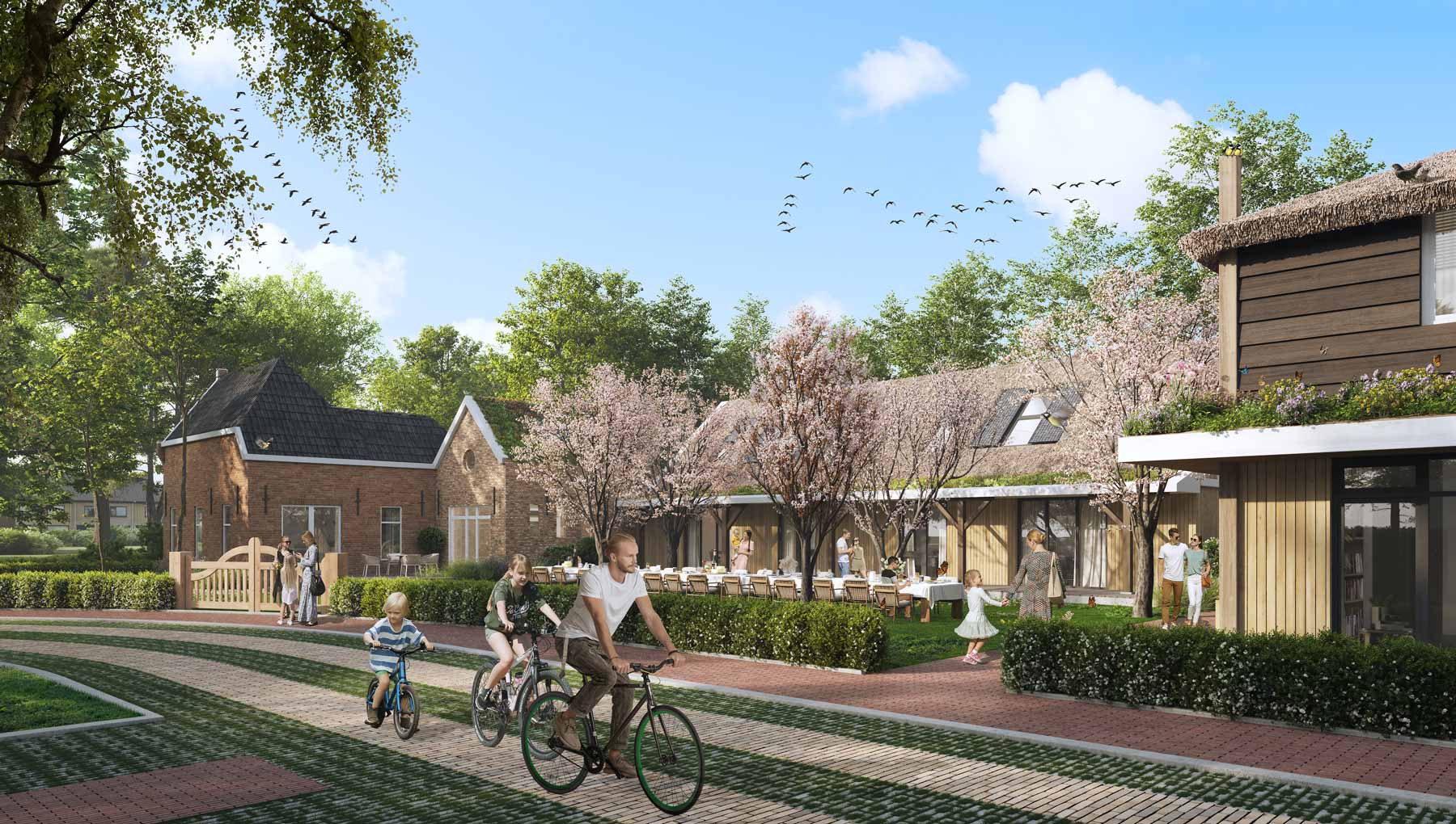 JK-DEELGEBIED-1-JOHANNA-HOEVE-COLLECTIEVE-TUIN