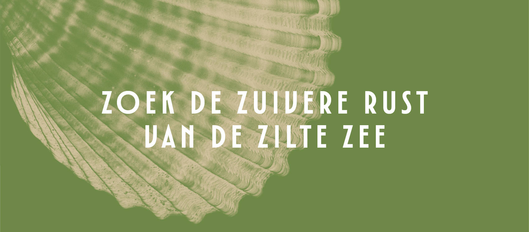 nieuwbouw-zeezijde-monster-slider04-2048x900